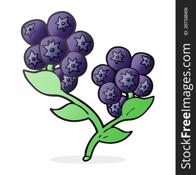 freehand drawn cartoon blueberries