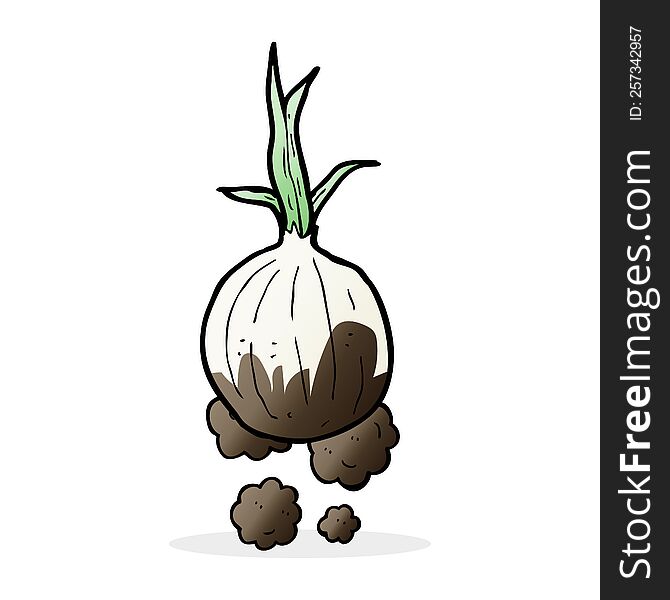 cartoon organic onion