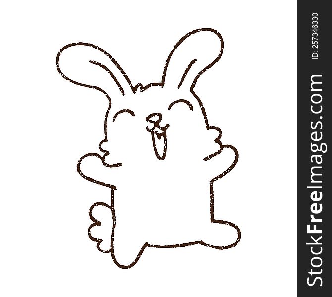 Rabbit Charcoal Drawing