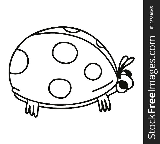 quirky line drawing cartoon ladybird
