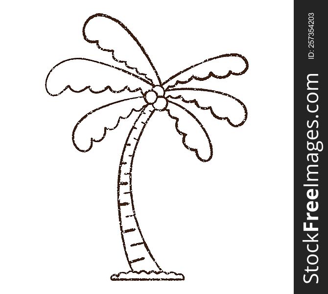 Palm Tree Charcoal Drawing
