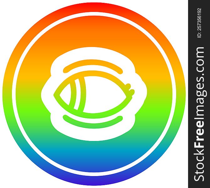 Staring Eye Circular In Rainbow Spectrum