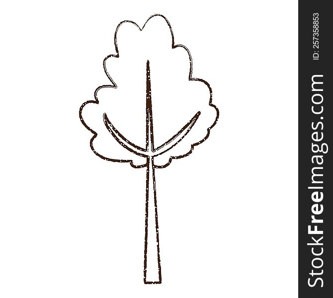 Tree Charcoal Drawing