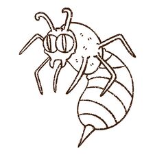 Wasp Charcoal Drawing Stock Photo