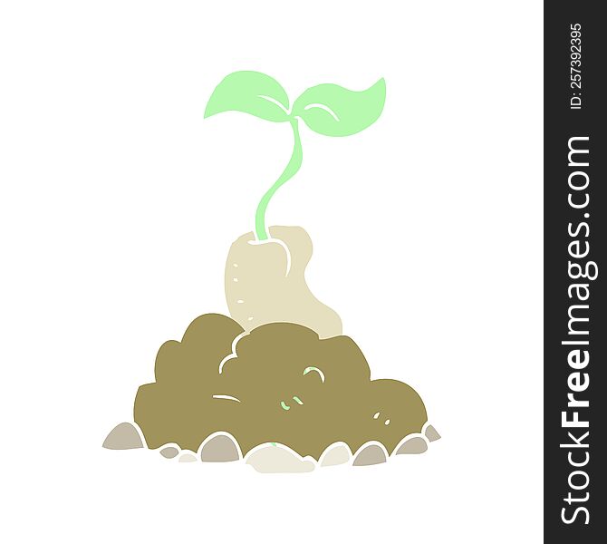 flat color illustration of sprouting seed. flat color illustration of sprouting seed