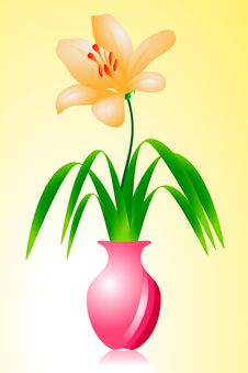 Flowers Royalty Free Stock Image Flowers Royalty Free Stock Image
