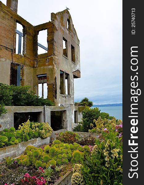 The ruins of the warden’s house on Alcatraz Island in the San Francisco Bay is a refuge for seagulls. The ruins of the warden’s house on Alcatraz Island in the San Francisco Bay is a refuge for seagulls.