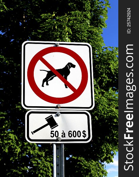 A dog not allowed sign with the fine amount underneath. A dog not allowed sign with the fine amount underneath
