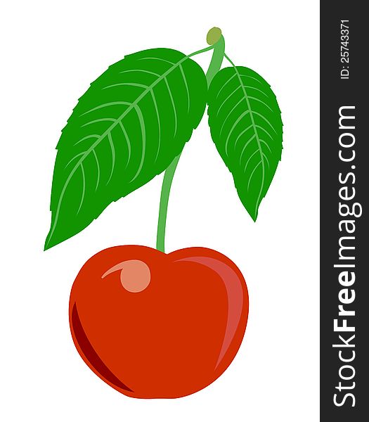 Cherries with leaves, illustration on white background. Cherries with leaves, illustration on white background
