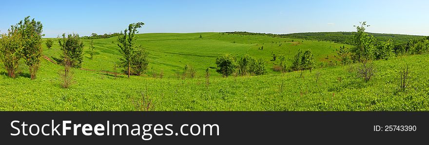 Brightly green meadow landscape