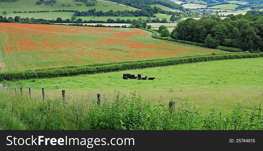 An English Rural Landscape in the Chiltern Hills