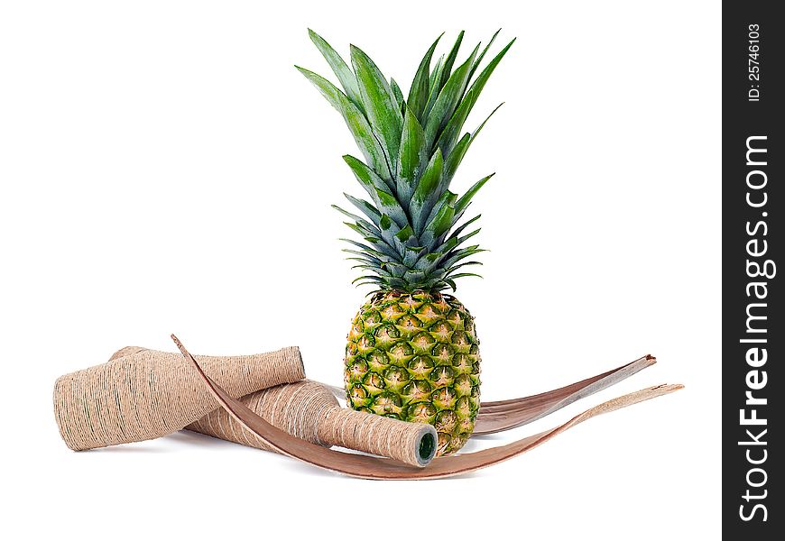 Still Life Of Pineapple And Decorated Bottles