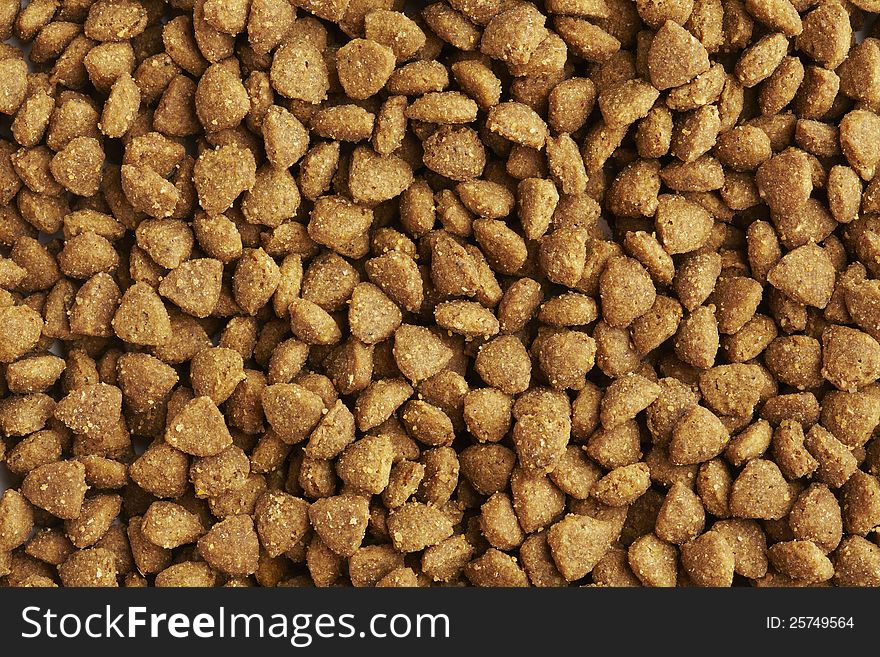 Dog Or Cat Food Close Up