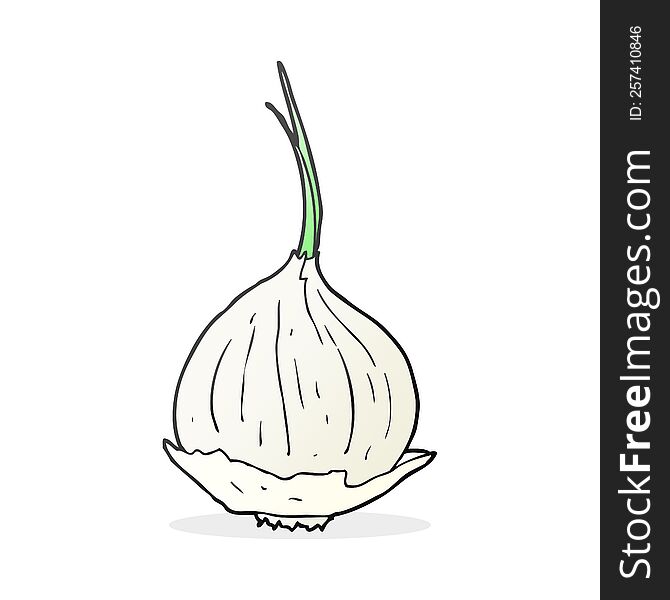 freehand drawn cartoon onion