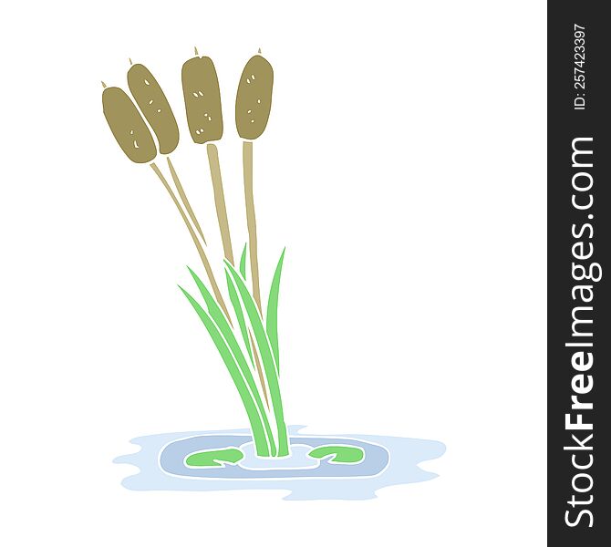 Flat Color Illustration Of A Cartoon Reeds