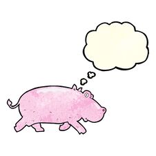 Cartoon Hippopotamus With Thought Bubble Stock Photo