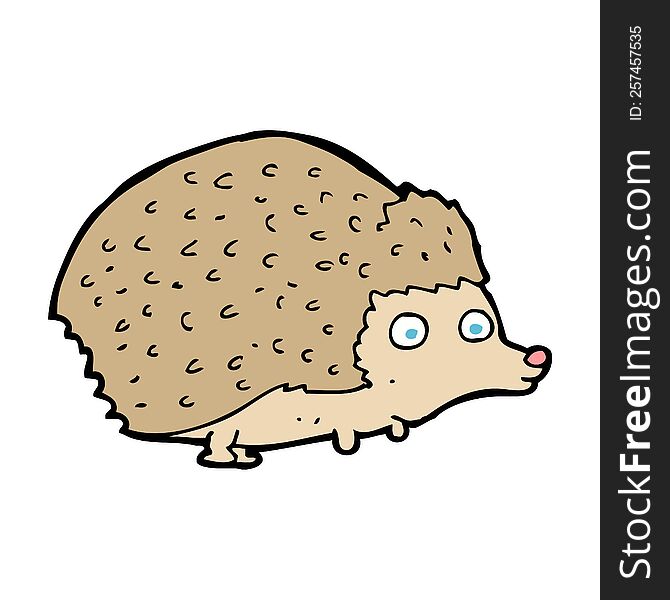 Cartoon Hedgehog