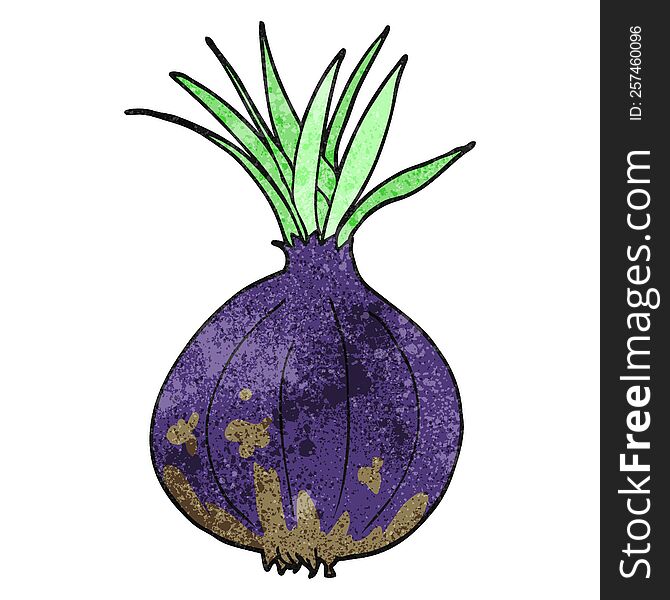 freehand drawn texture cartoon onion