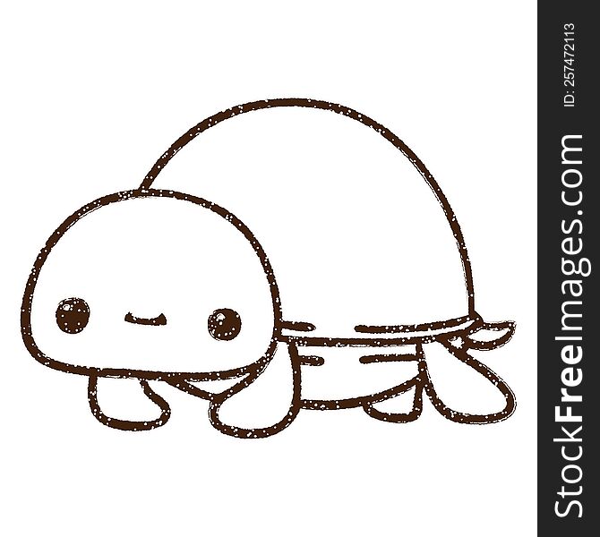 Cute Turtle Charcoal Drawing