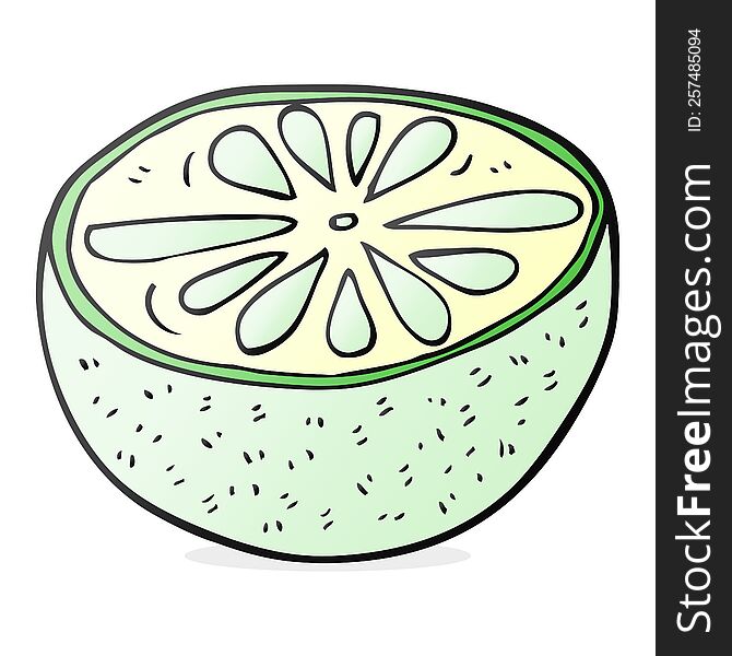 freehand drawn cartoon half melon