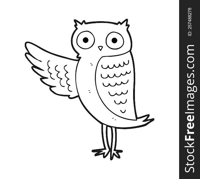 Black And White Cartoon Owl