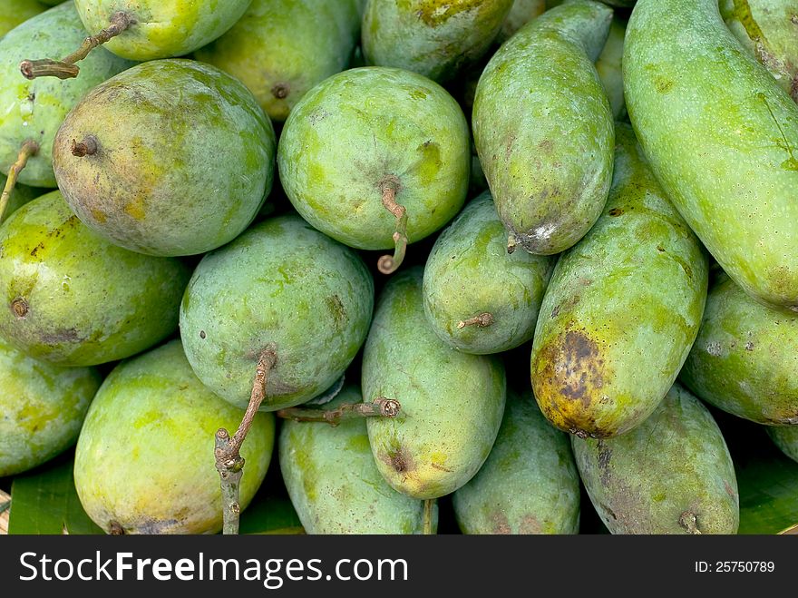 Green mango fruit at thailand