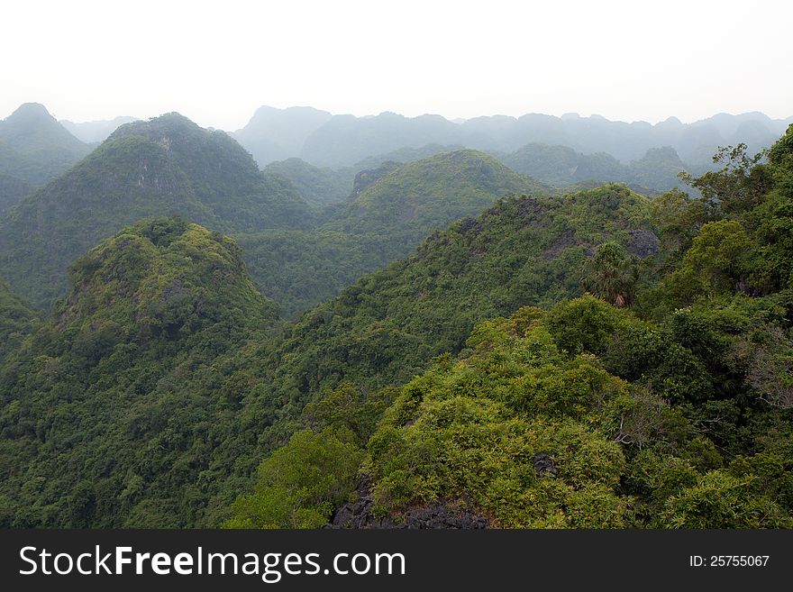 Amazing view of a lush and green forest from above at the Cat Ba National Park in Vietnam. Amazing view of a lush and green forest from above at the Cat Ba National Park in Vietnam.