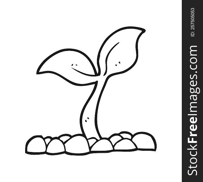 black and white cartoon seedling