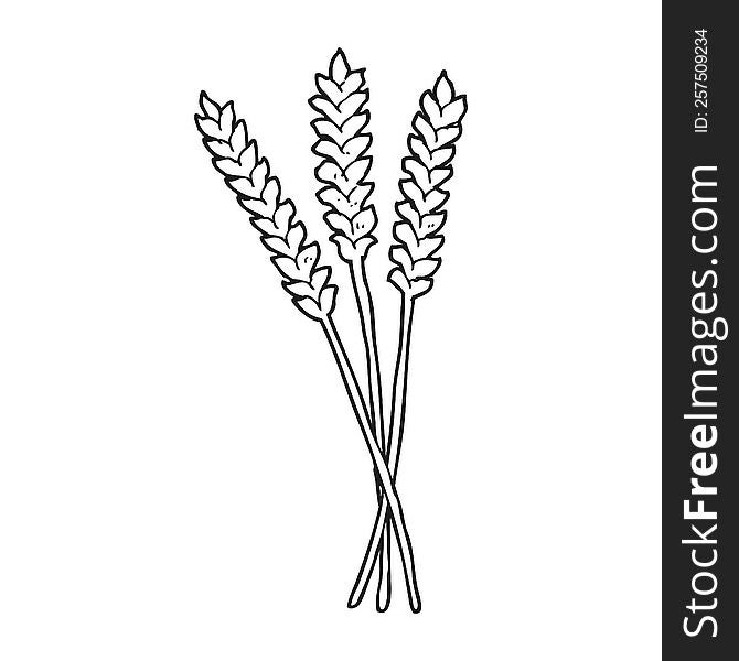 freehand drawn black and white cartoon wheat