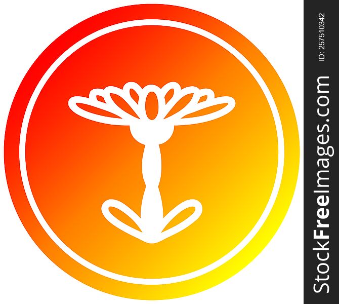 blooming flower circular icon with warm gradient finish. blooming flower circular icon with warm gradient finish