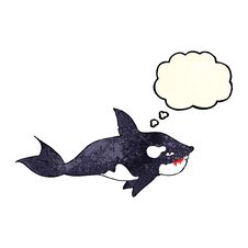 Cartoon Killer Whale With Thought Bubble Stock Photos