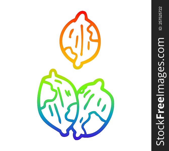 rainbow gradient line drawing of a cartoon nuts in shells