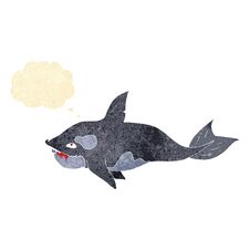 Cartoon Killer Whale With Thought Bubble Royalty Free Stock Photography