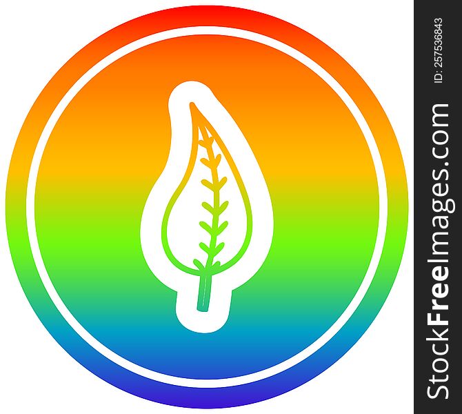 natural leaf circular icon with rainbow gradient finish. natural leaf circular icon with rainbow gradient finish