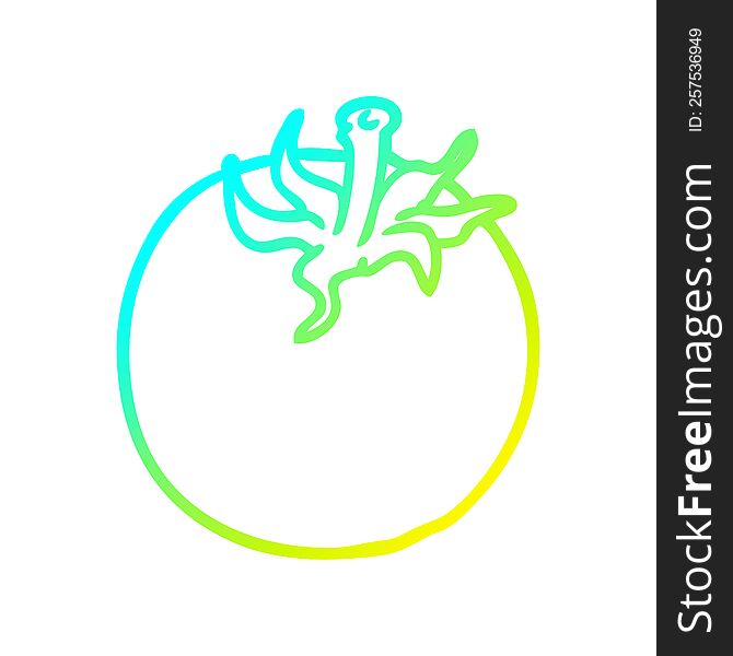 cold gradient line drawing of a fresh tomato