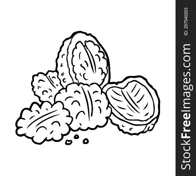 line drawing of a walnuts. line drawing of a walnuts