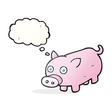 Thought Bubble Cartoon Piglet Stock Photography