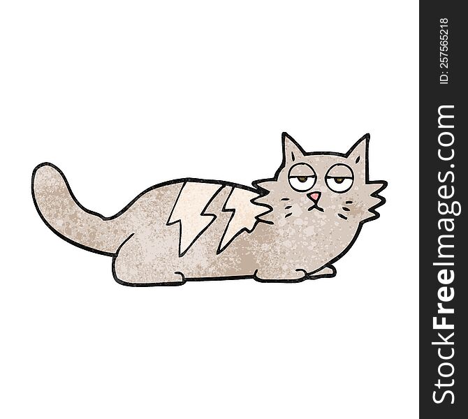 freehand drawn texture cartoon cat