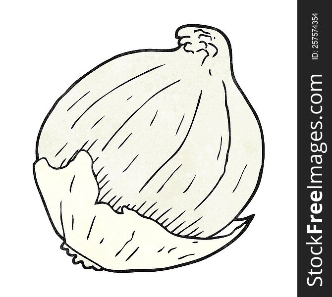freehand textured cartoon onion