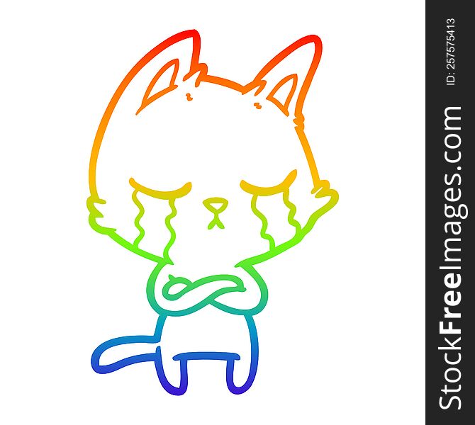 Rainbow Gradient Line Drawing Crying Cartoon Cat With Folded Arms