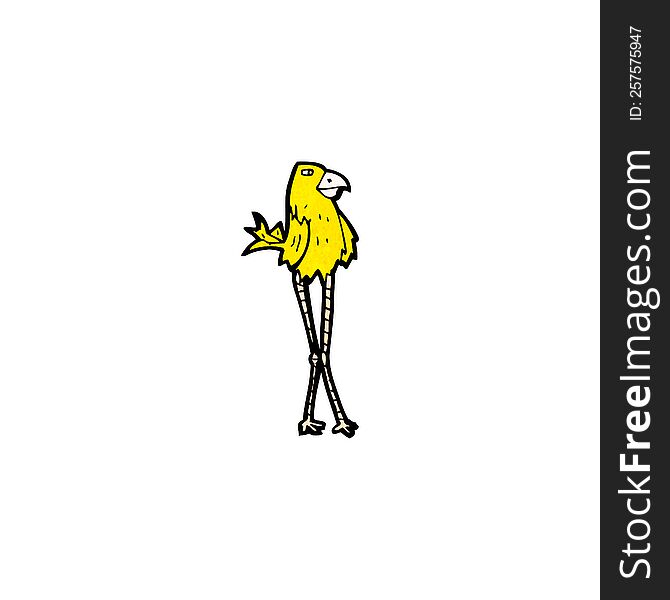 funny cartoon bird