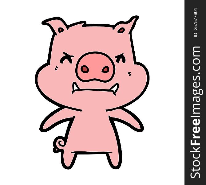 angry cartoon pig. angry cartoon pig