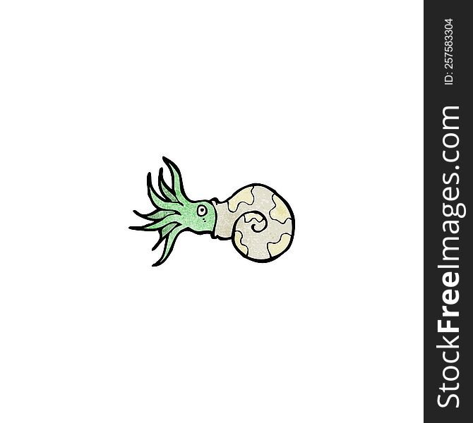 Cartoon Nautilus Squid