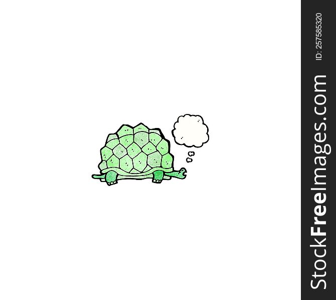 Giant Tortoise Cartoon