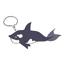 Cartoon Killer Whale With Thought Bubble Stock Photography
