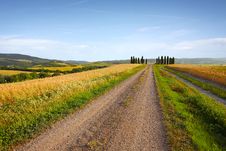 Typical Tuscany Landscape Royalty Free Stock Photography Typical Tuscany Landscape Royalty Free Stock Photography