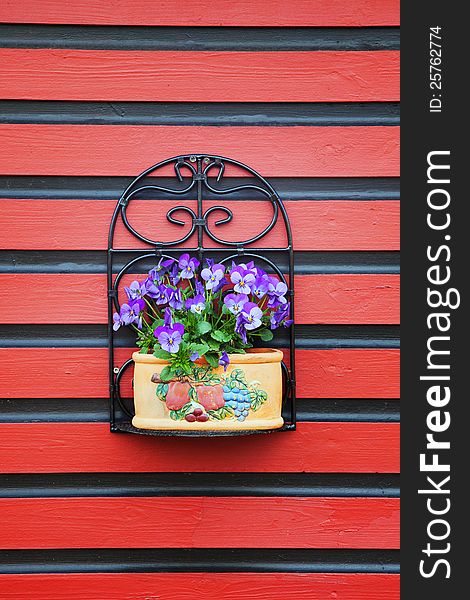 Beautiful purple flowers in a pot attached to red wall. Beautiful purple flowers in a pot attached to red wall