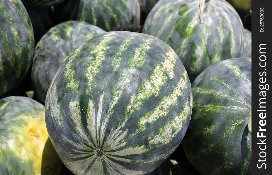 Striped Watermelons