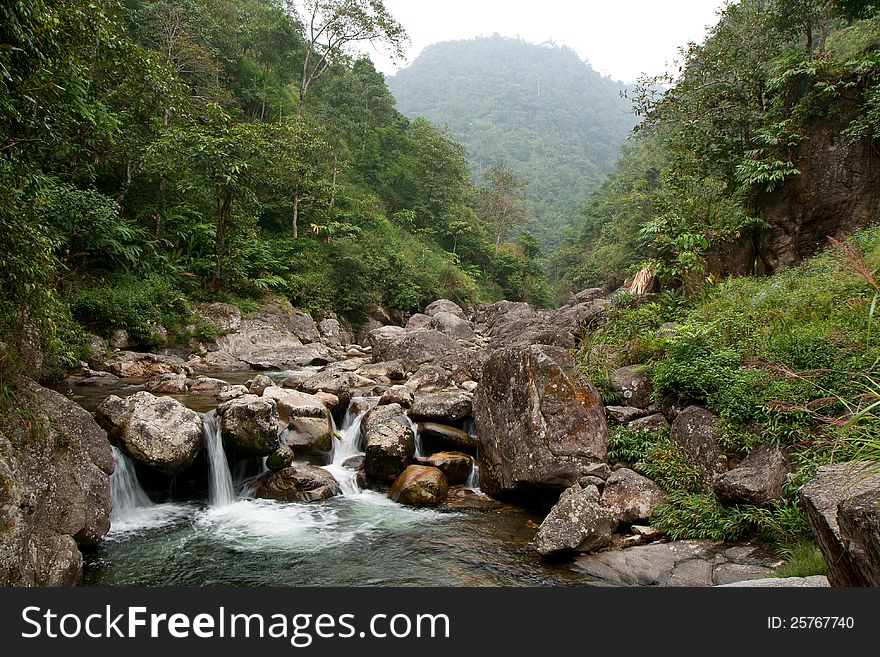 Lush and green landscape of scenic gorge, rocky river and forest in Vietnam. Lush and green landscape of scenic gorge, rocky river and forest in Vietnam.