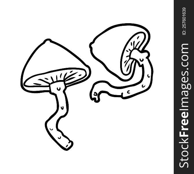 line drawing of a wild mushrooms. line drawing of a wild mushrooms